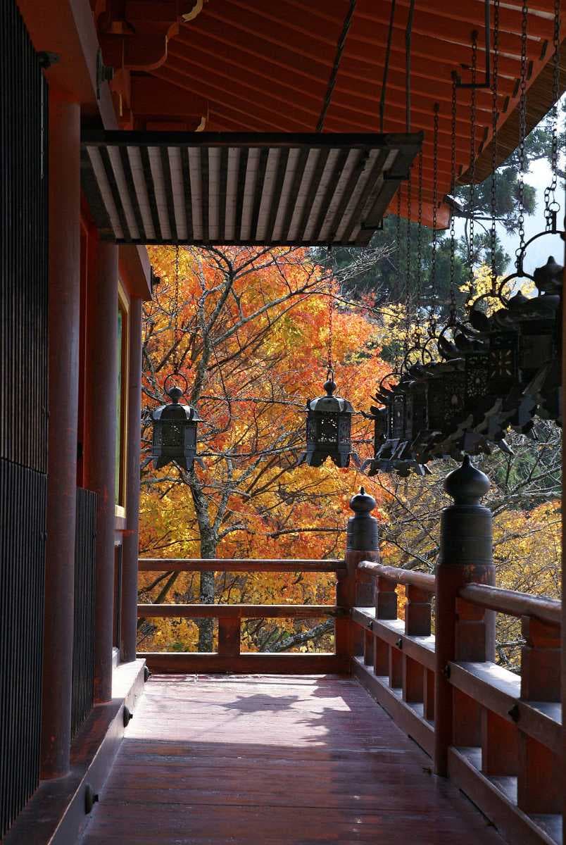 Tanzan Shrine in autumn