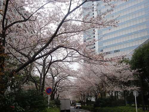 Tokyo travel image