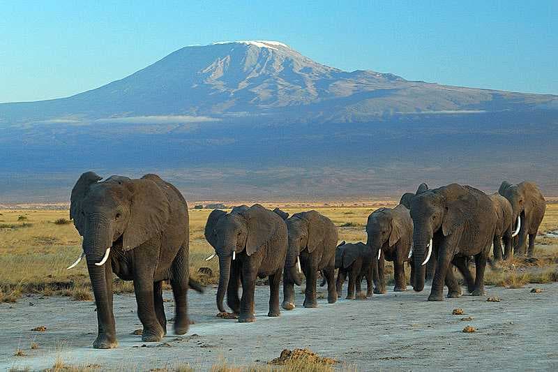 Kenya