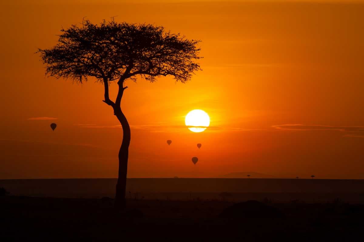 Masai Mara