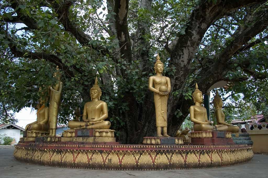 Buddha sculptures at Pha That Luang