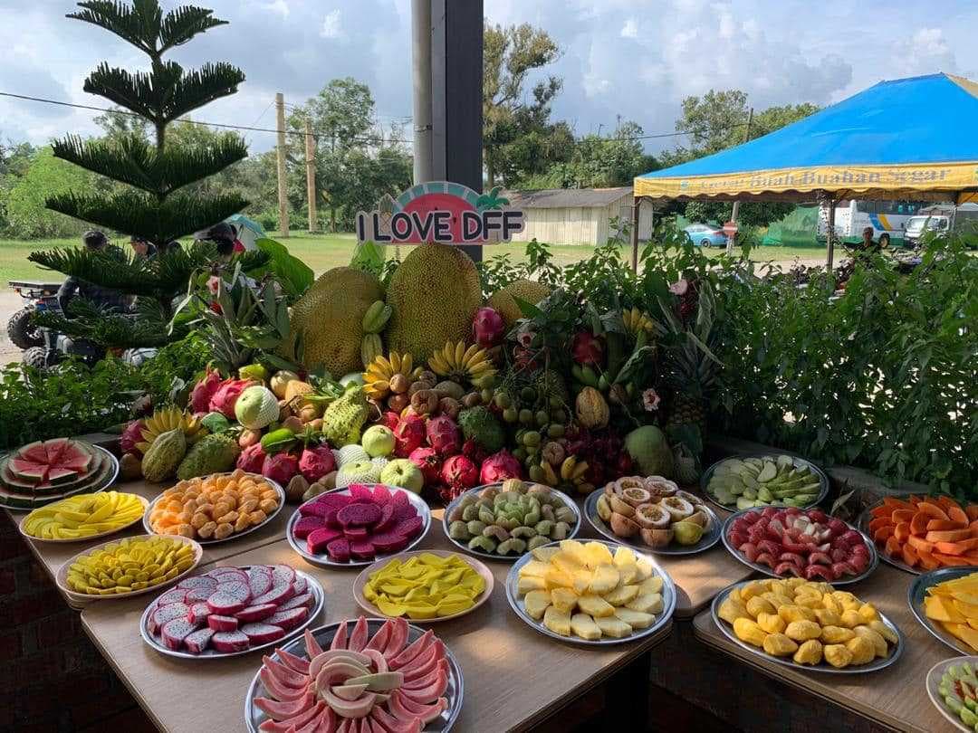Desaru Fruit Farm- a marvellous agro-tourism site in Malaysia