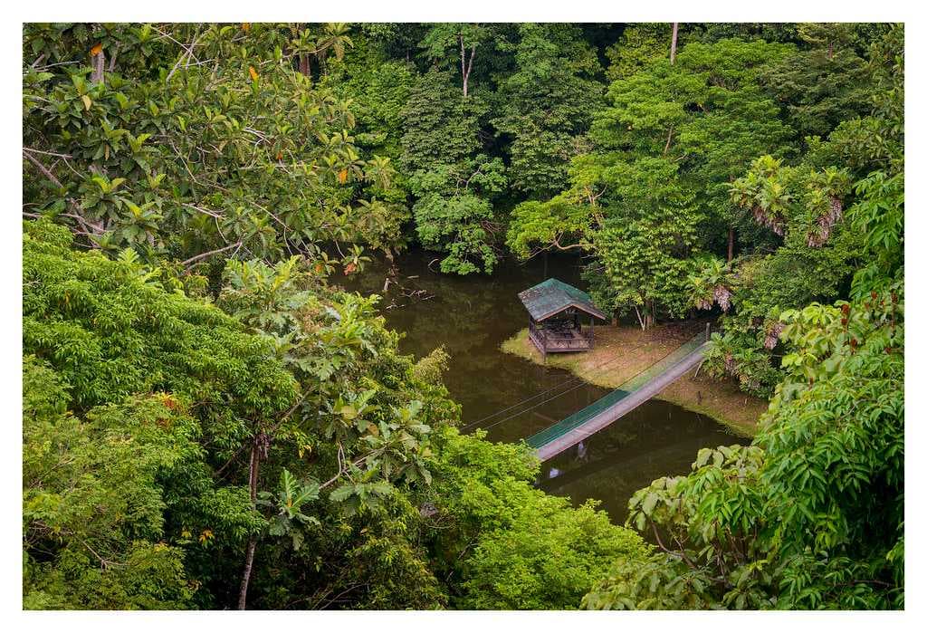 Sepilok town which is famous for the Sepilok Orangutan Rehabilitation Center