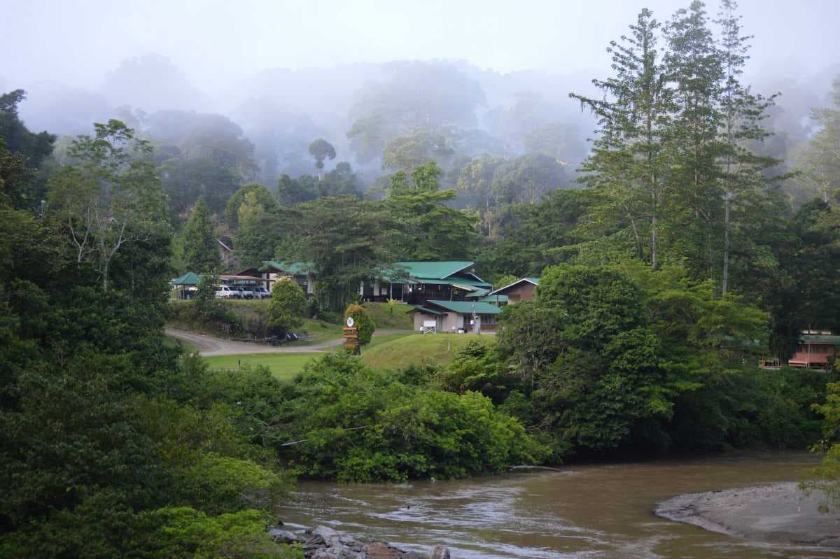 Danum Valley Conservation Area is a lowland dipterocarp forest