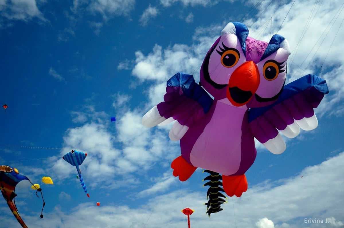 Borneo International Kite Festival is one of the largest kite festivals of the world held annually in Bintulu