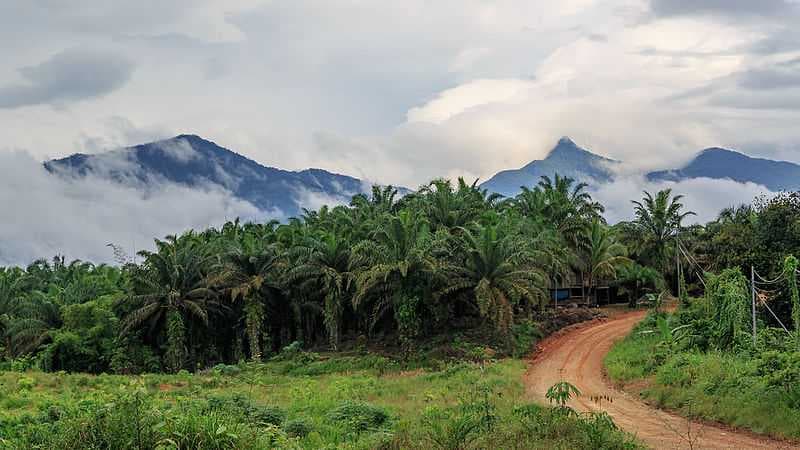 sarawak