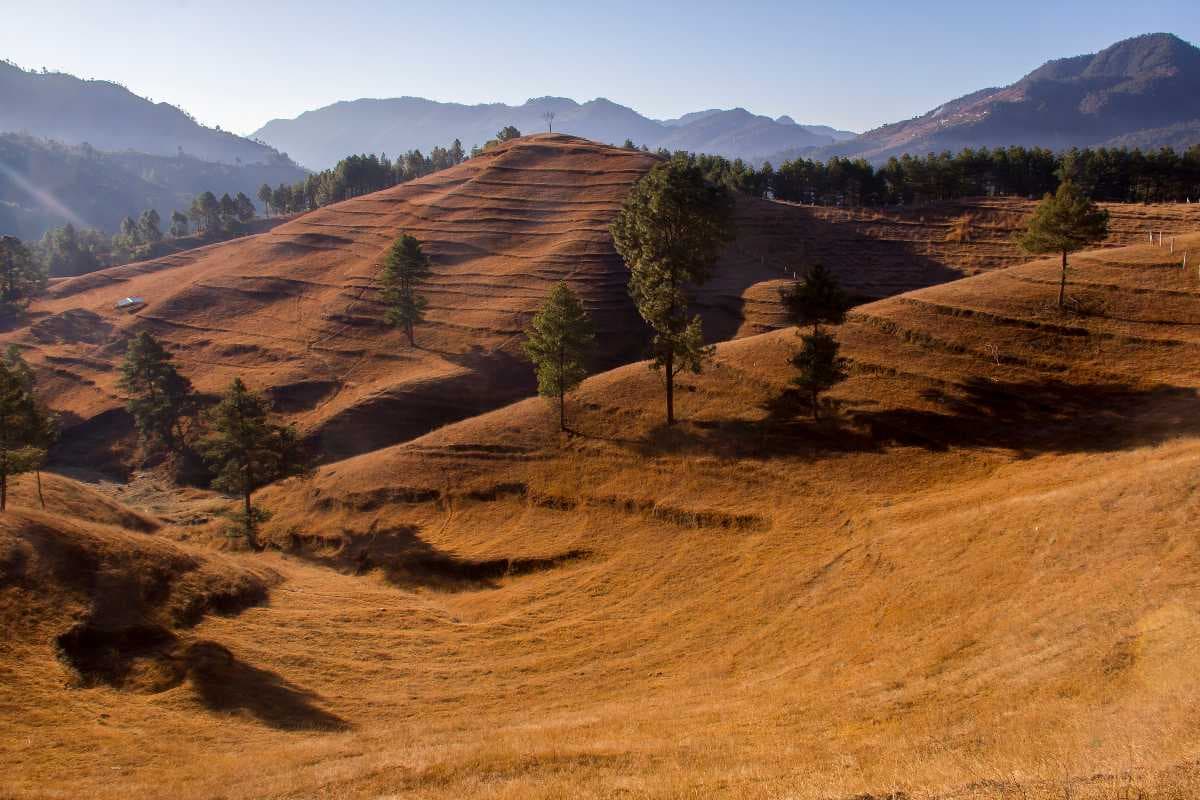 Grazing Land Found in Chitlang, Nepal