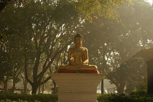 Lumbini travel image