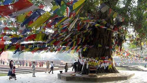 Lumbini travel image