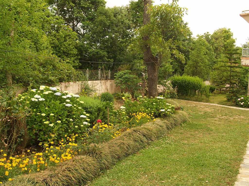 Beautiful Flower Gardens in Buddha Peace Park