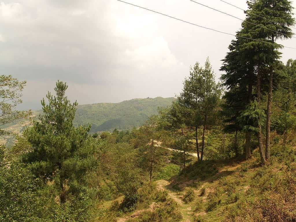 Chisapani Nagarkot Trek - Small Hiking Trek