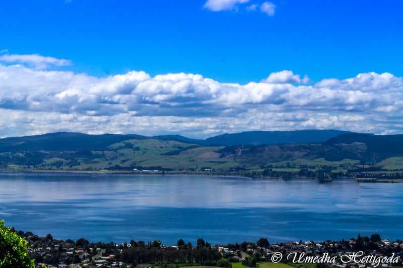 Picture of Lake Rotorua