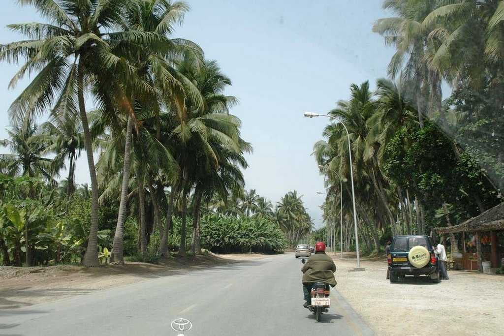 Fruit stalls sell local fruits and tender coconut.