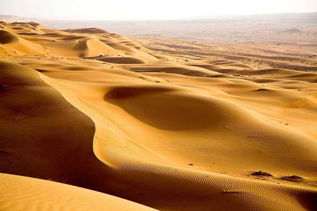 Golden dunes of Wahiba Sands