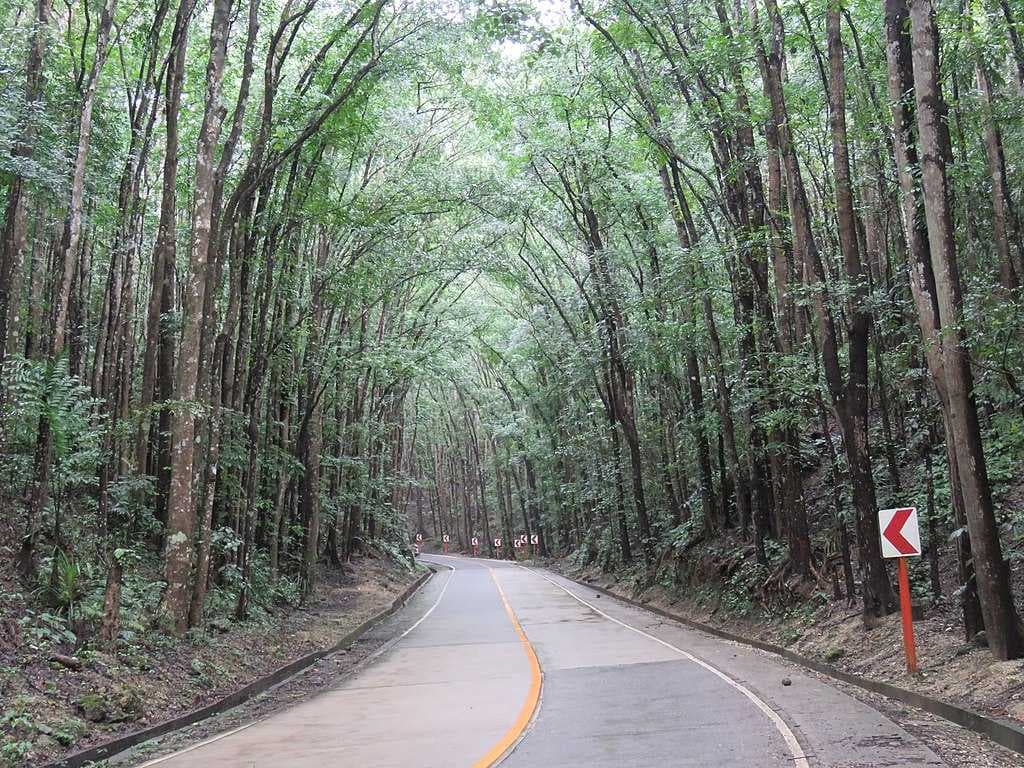 Bohol travel image