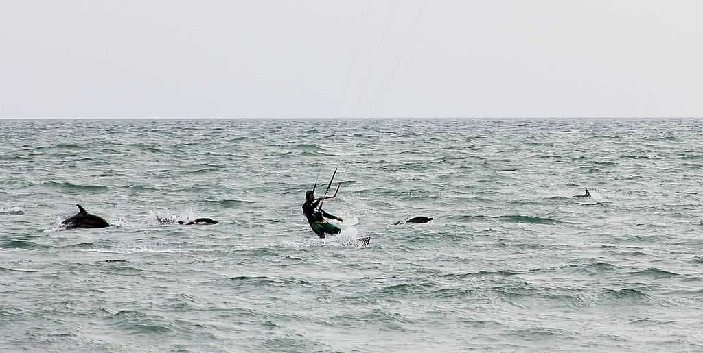 Sochi travel image