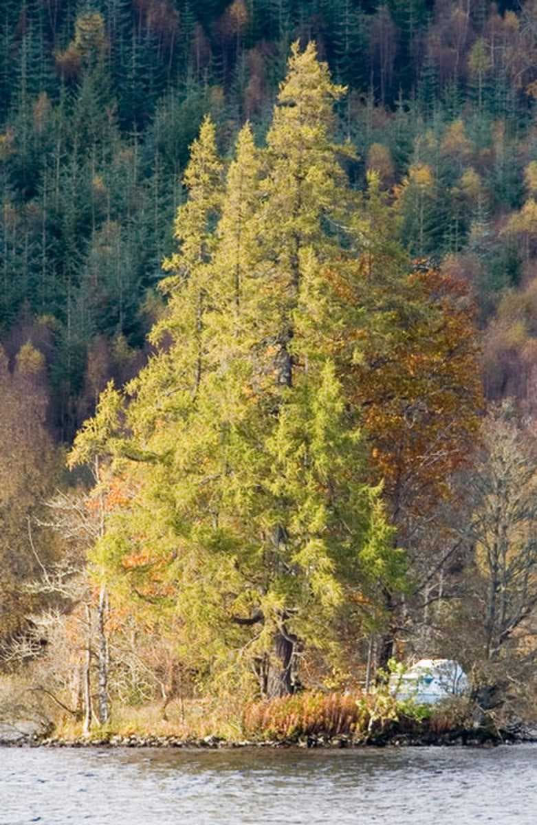 Loch Ness travel image