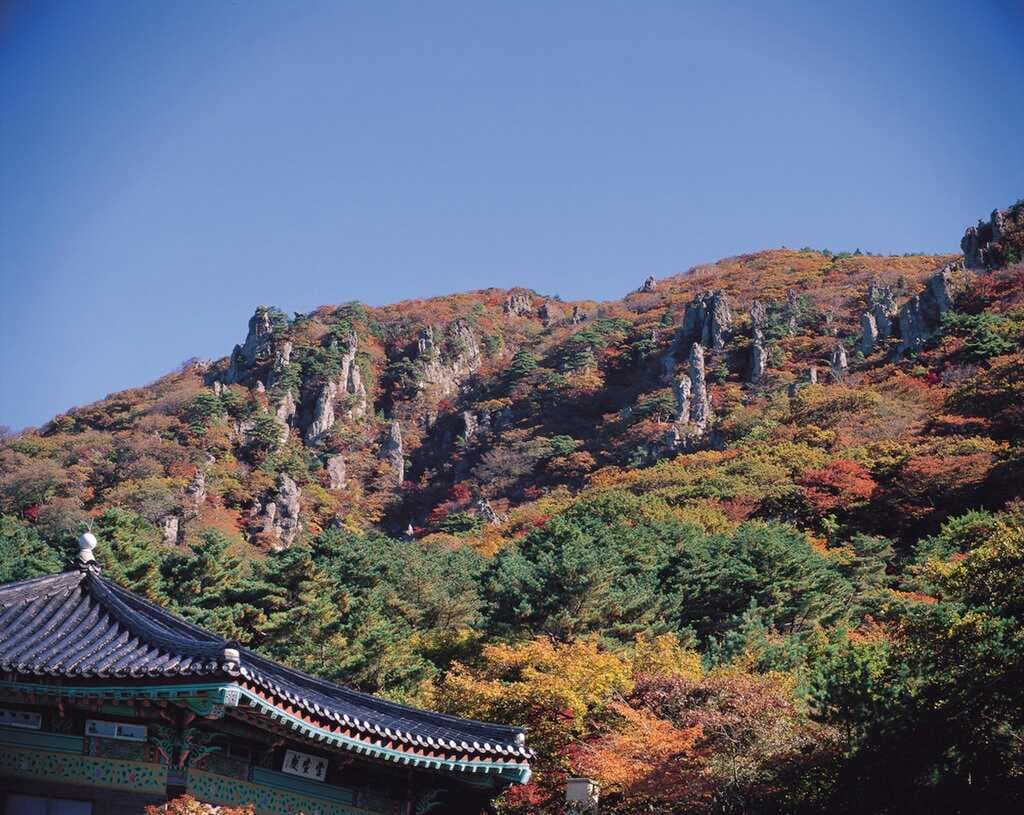 Jeju travel image