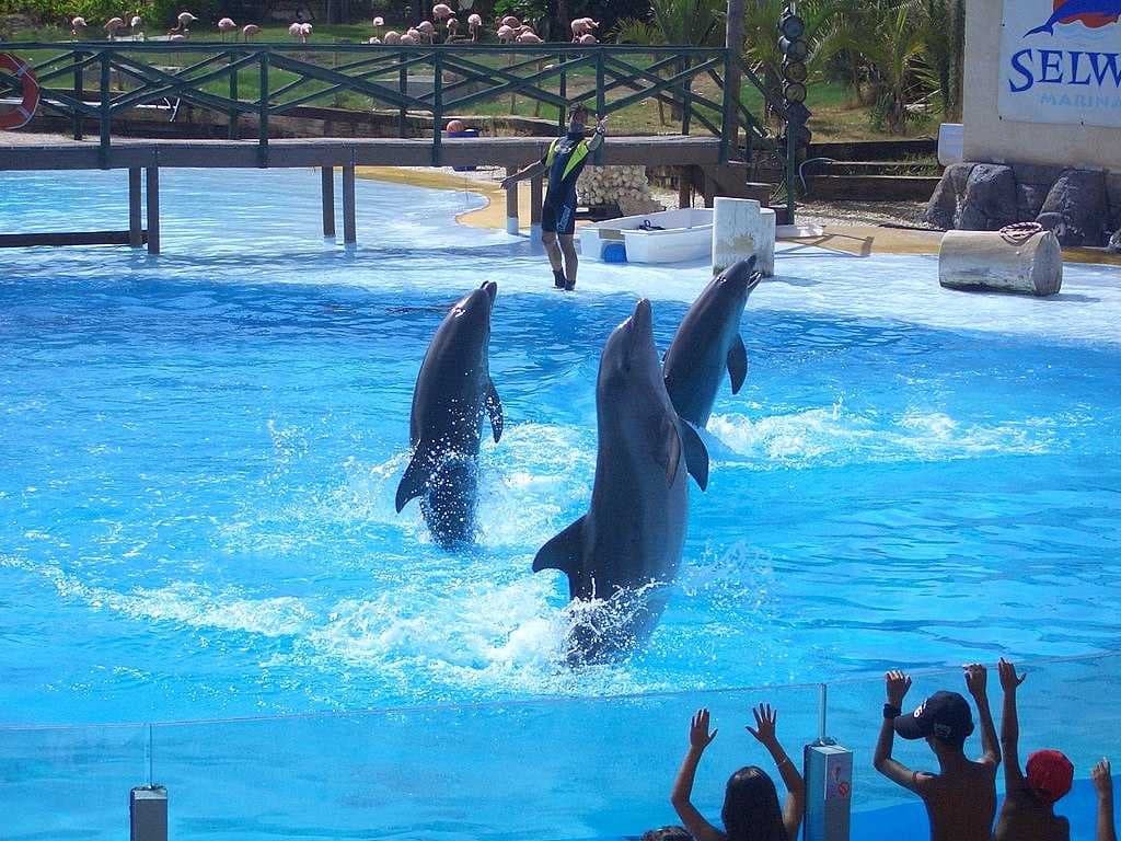 Benalmadena travel image