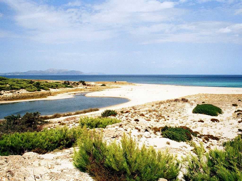 Son Real beach at Son Serra de Marina