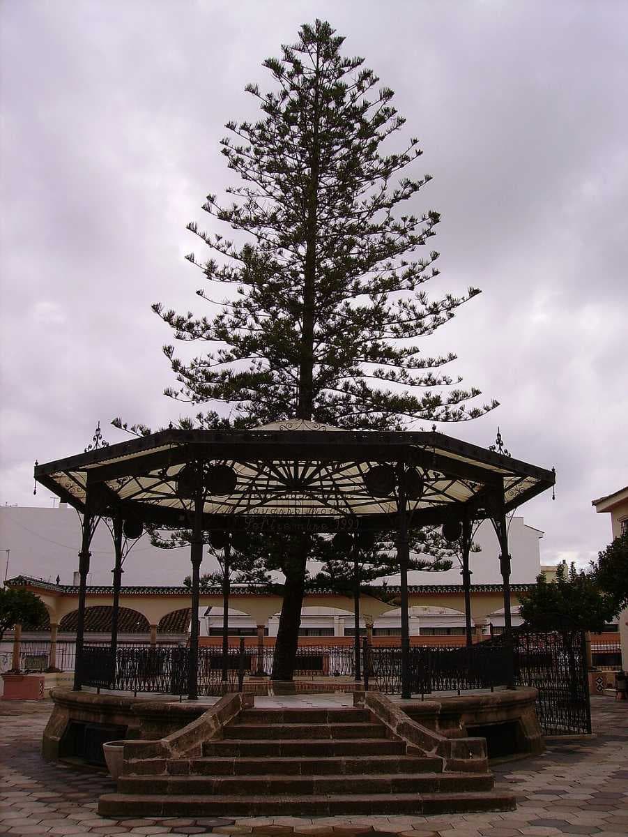 Estepona travel image