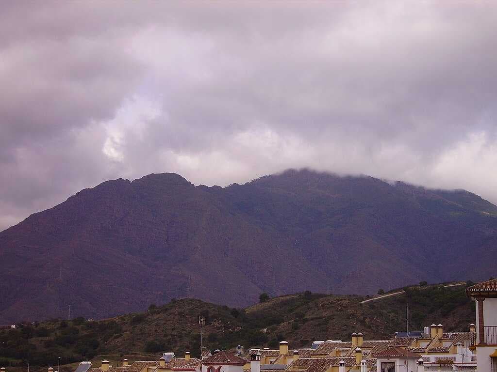 Estepona travel image