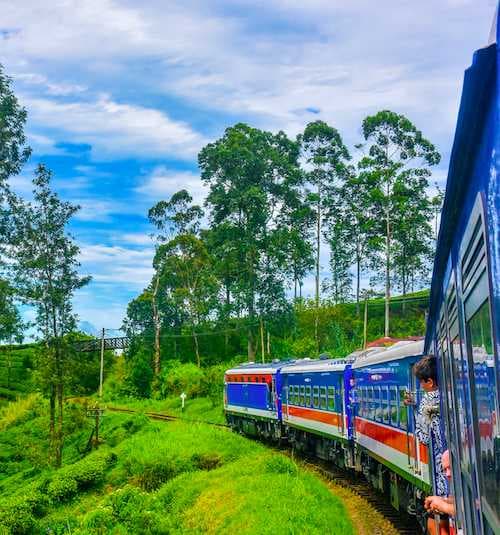 Scenic Train Ride from Ella to Nuwara Eliya