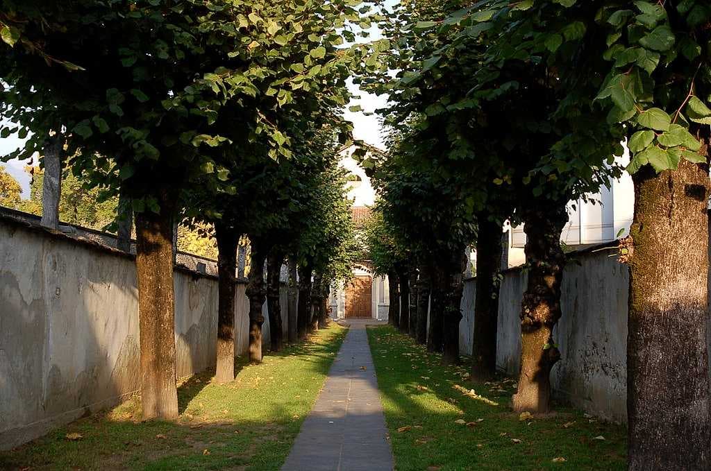 Collegio Papio grounds