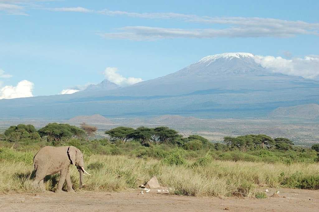 View of Kilimanjaro