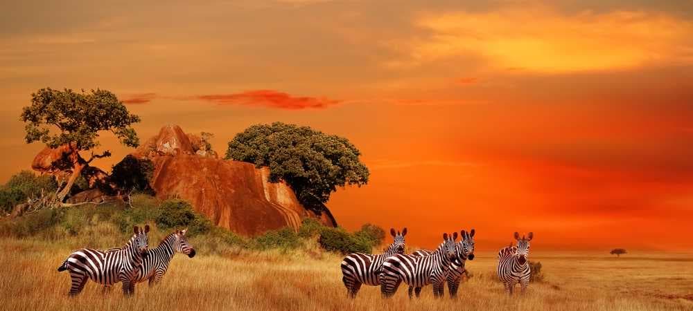 Mount Kilimanjaro