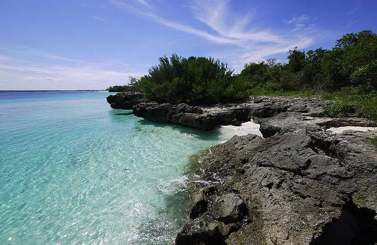 Bongoyo Island