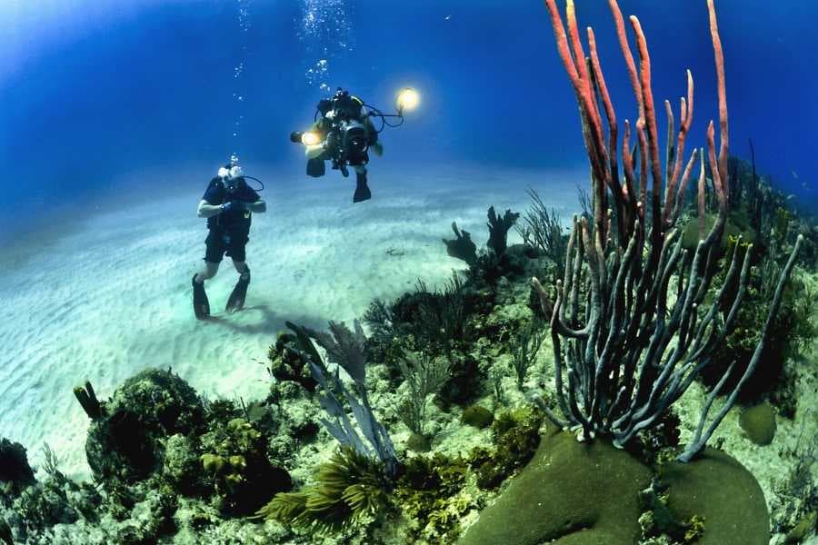 Koh Lipe - One of the Best Spot for Scuba Diving