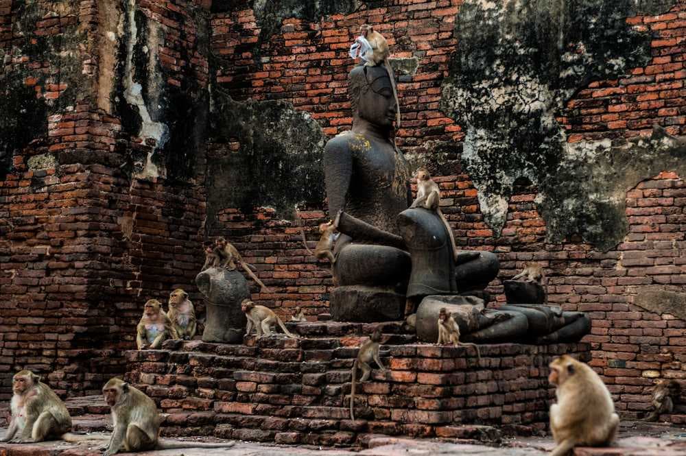 Lopburi