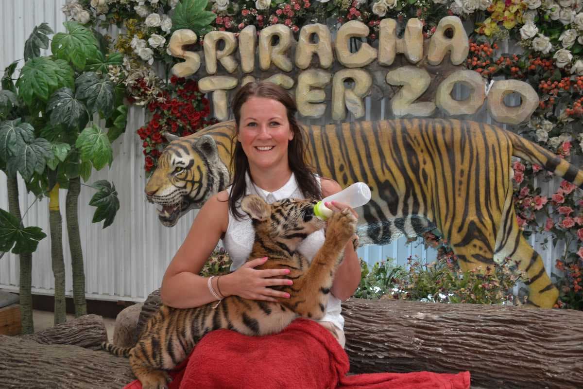 Sriracha Tiger Zoo - Constructed in the Outskirts of Pattaya
