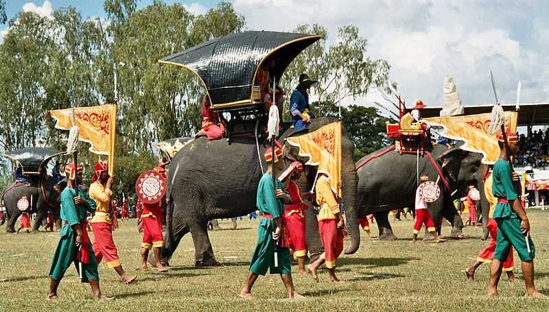 Very Famous Surin Elephant Festival