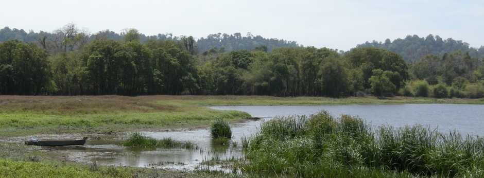 Dong Nai Natural Reserve - Houses Many Endangered Species