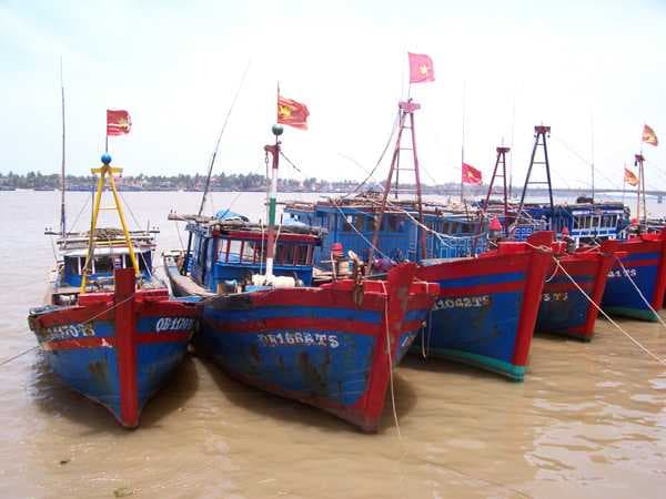 Fishing Boats in Dong Hoi