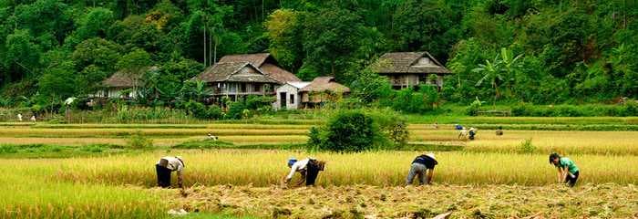 Mai Chau - Rural District in Hoa Binh Province
