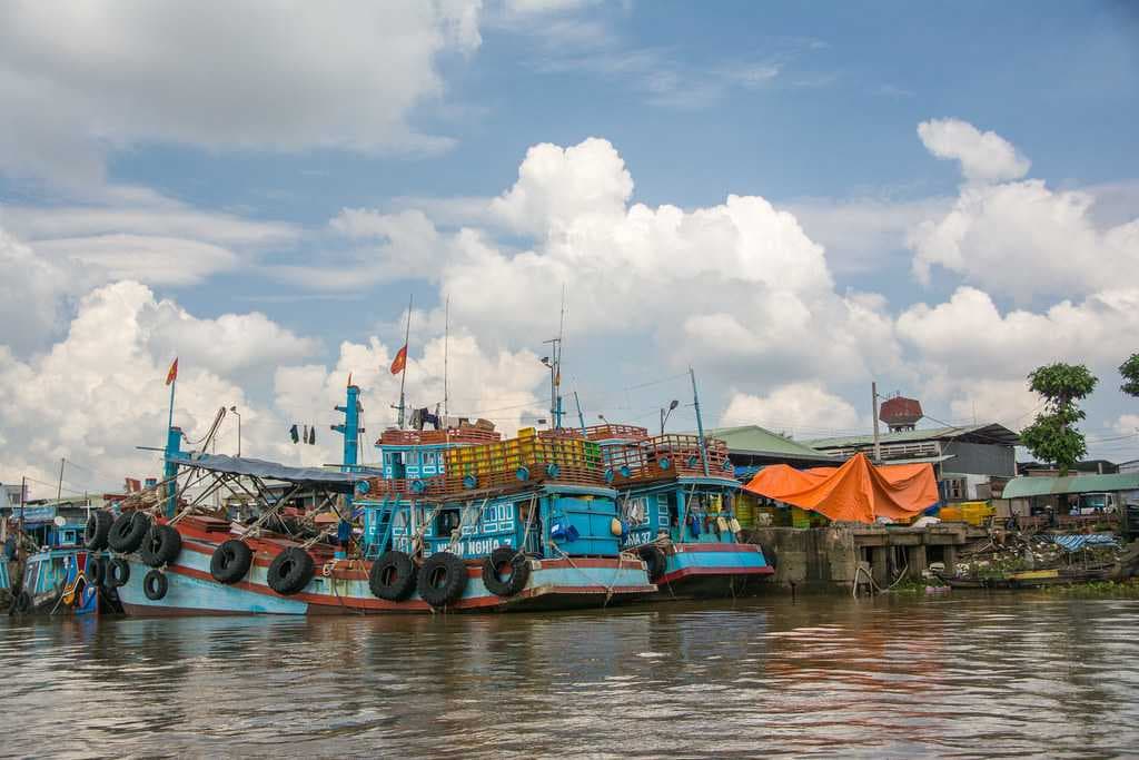 Local Fish Market, My Tho