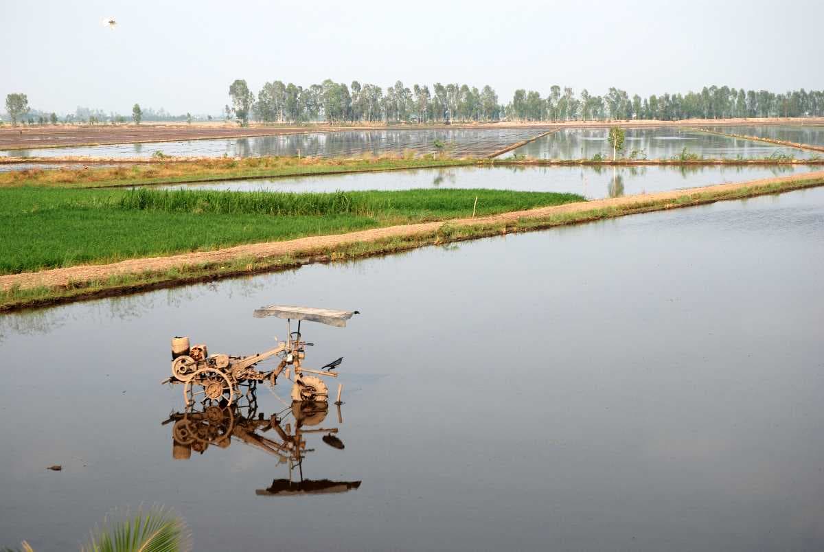 Mekong Delta - One of the Vast River Regions