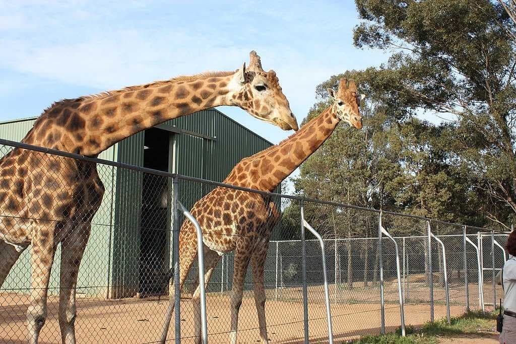 Taronga Western Plains Zoo