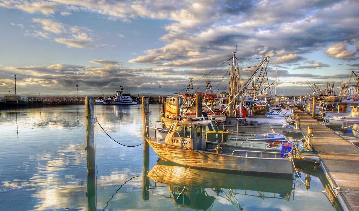 Nelson Bay