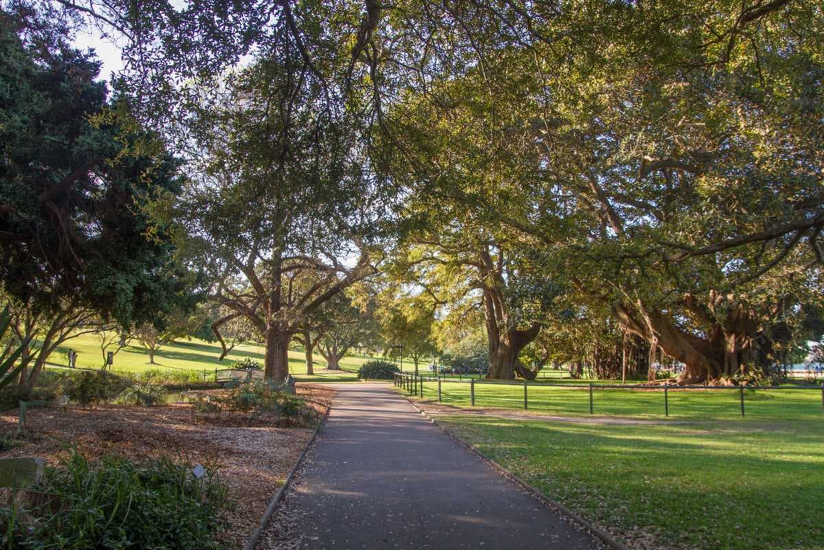 Royal Botanic Gardens travel image