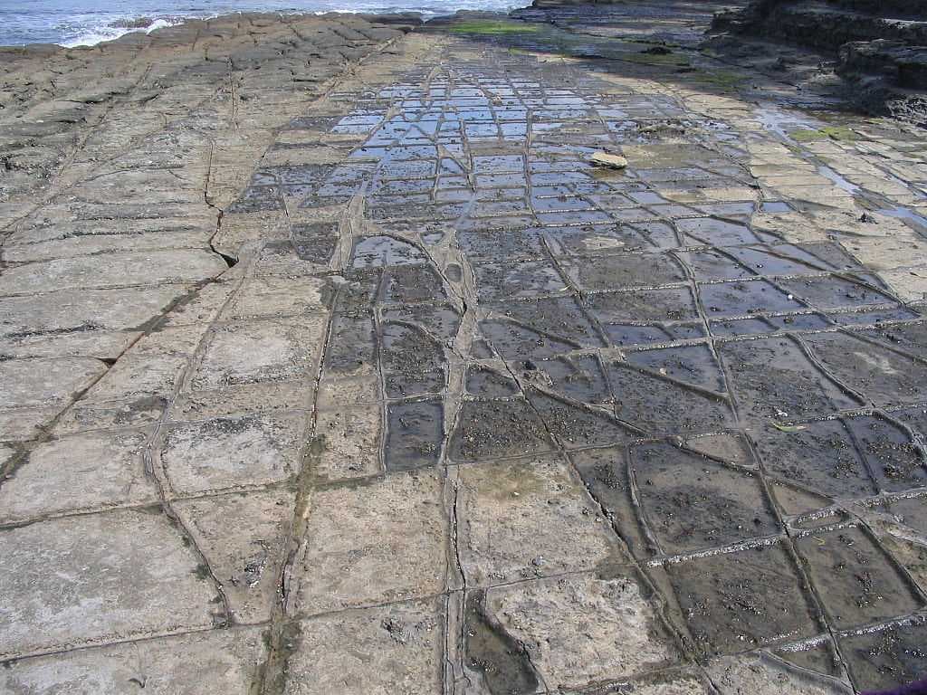 A tessellated pavement at Eaglehawk Neck, Australia, where a rock surface has been divided by fractures, producing a set of rectangular blocks