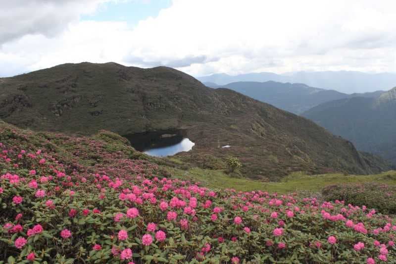 Phajoding Monastery travel image