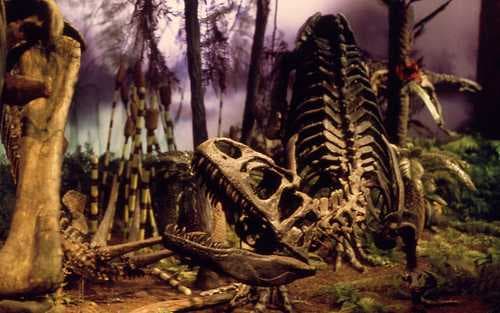 Royal Ontario Museum travel image