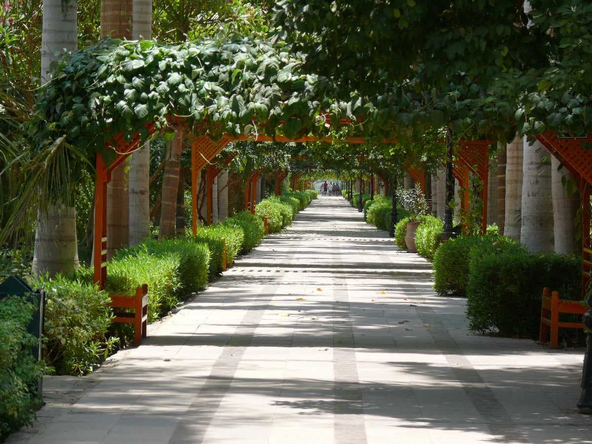 Aswan Botanical Garden, Aswan, Egypt