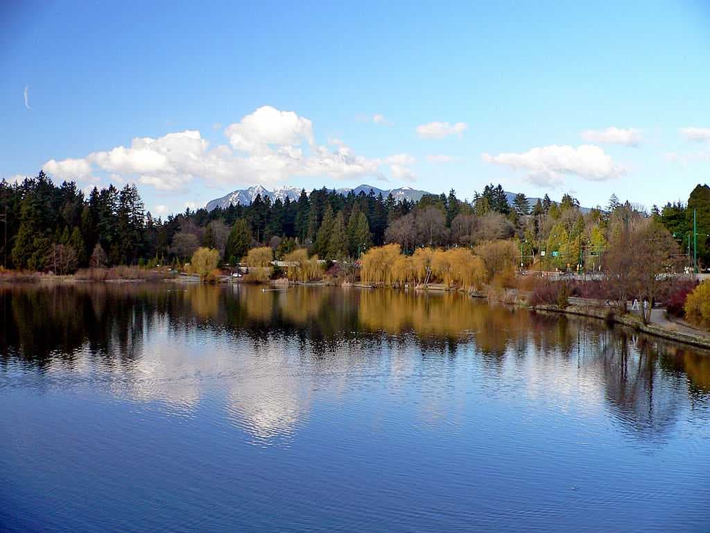 Lost Lagoon looking north.