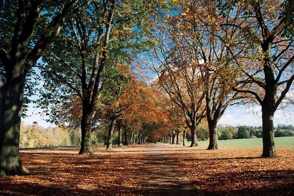 Northampton travel image