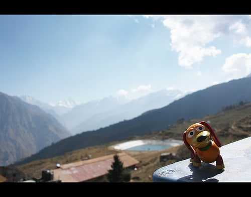 Dunagiri travel image